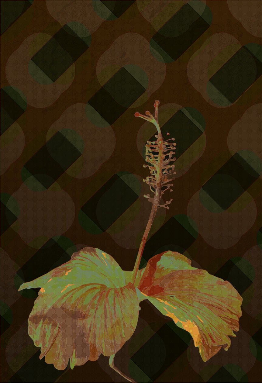 Hibiskus, 2019 von Scott J. Davis