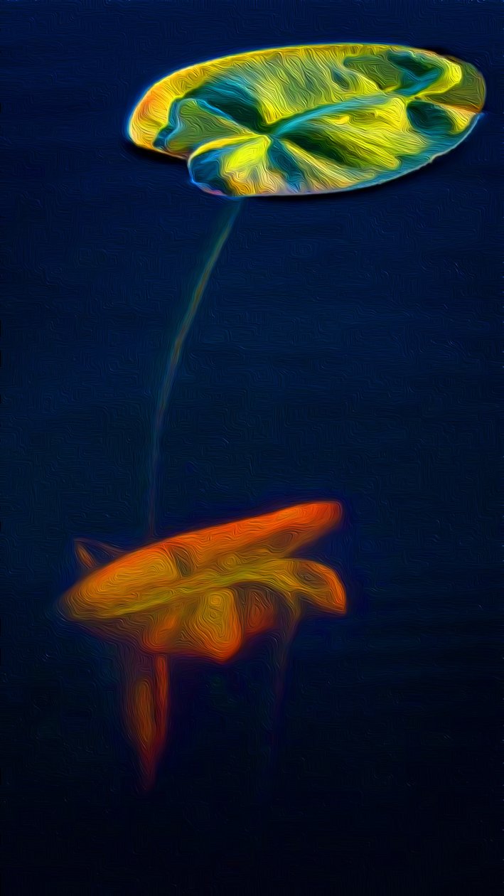 T_Lily3 von Scott J. Davis