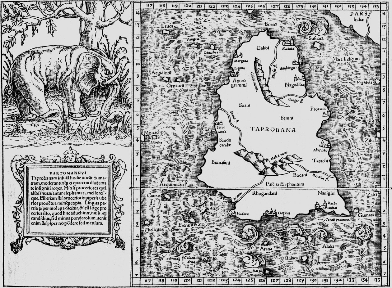 Tabula Asiae XII, Toprobana Insel von Sebastian Munster