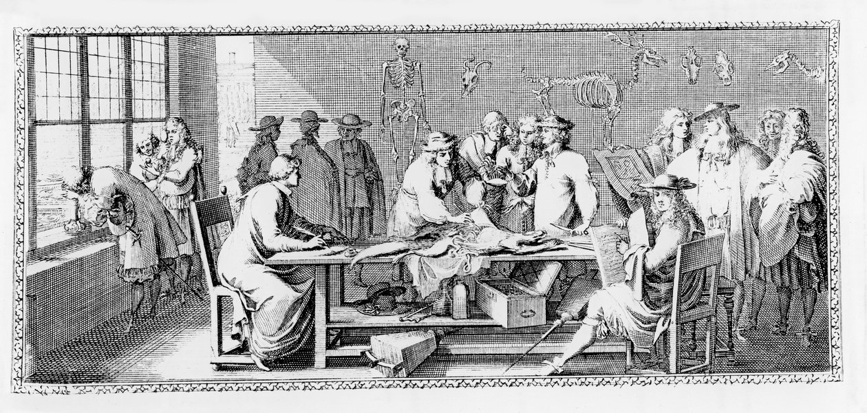 Die Anatomie-Lektion, (Dissektion im Jardin des Plantes) aus 