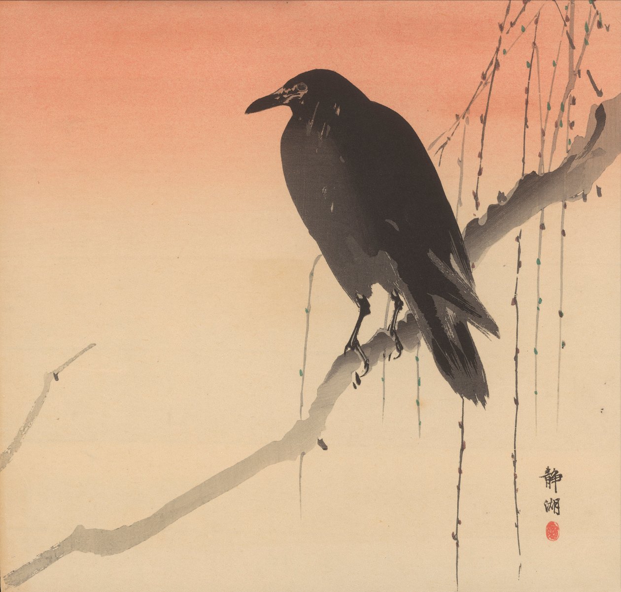 Schwarze Krähe auf einem Weidenzweig von Seiko Okuhara