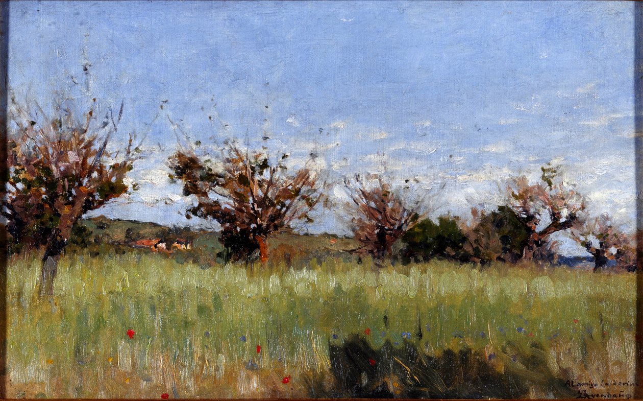 Weizenfeld mit Maulbeerbaum von Serafin Avendano