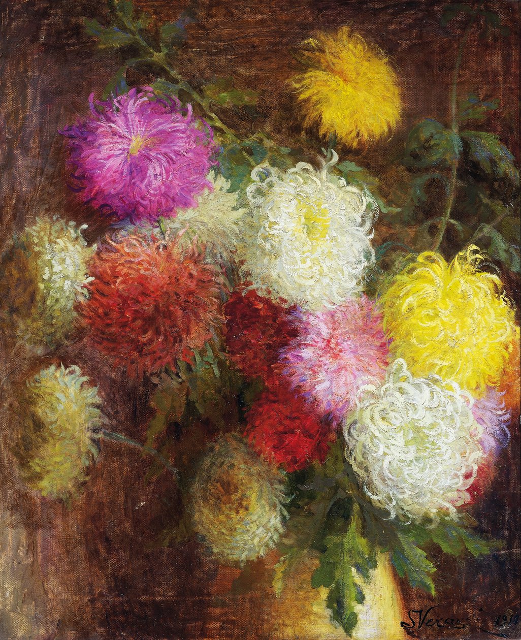 Chrysanthemen von Serafino Verazzi