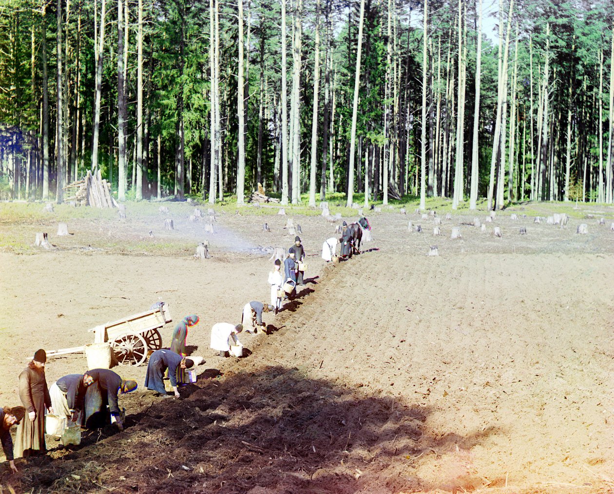 Mönche pflanzen Kartoffeln in der Nähe des Gethsemane-Klosters, Wolga, Russisches Reich, 1910 von Sergey Prokudin Gorsky