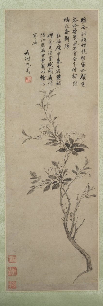 Blühender Zierapfel, 1500 von Shen Zhou