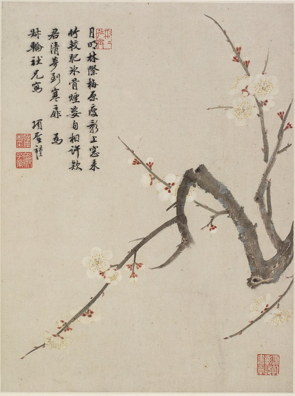 Blühender Pflaumenbaum aus einem Blumenalbum mit zehn Blättern, 1656 von Shengmo Xiang