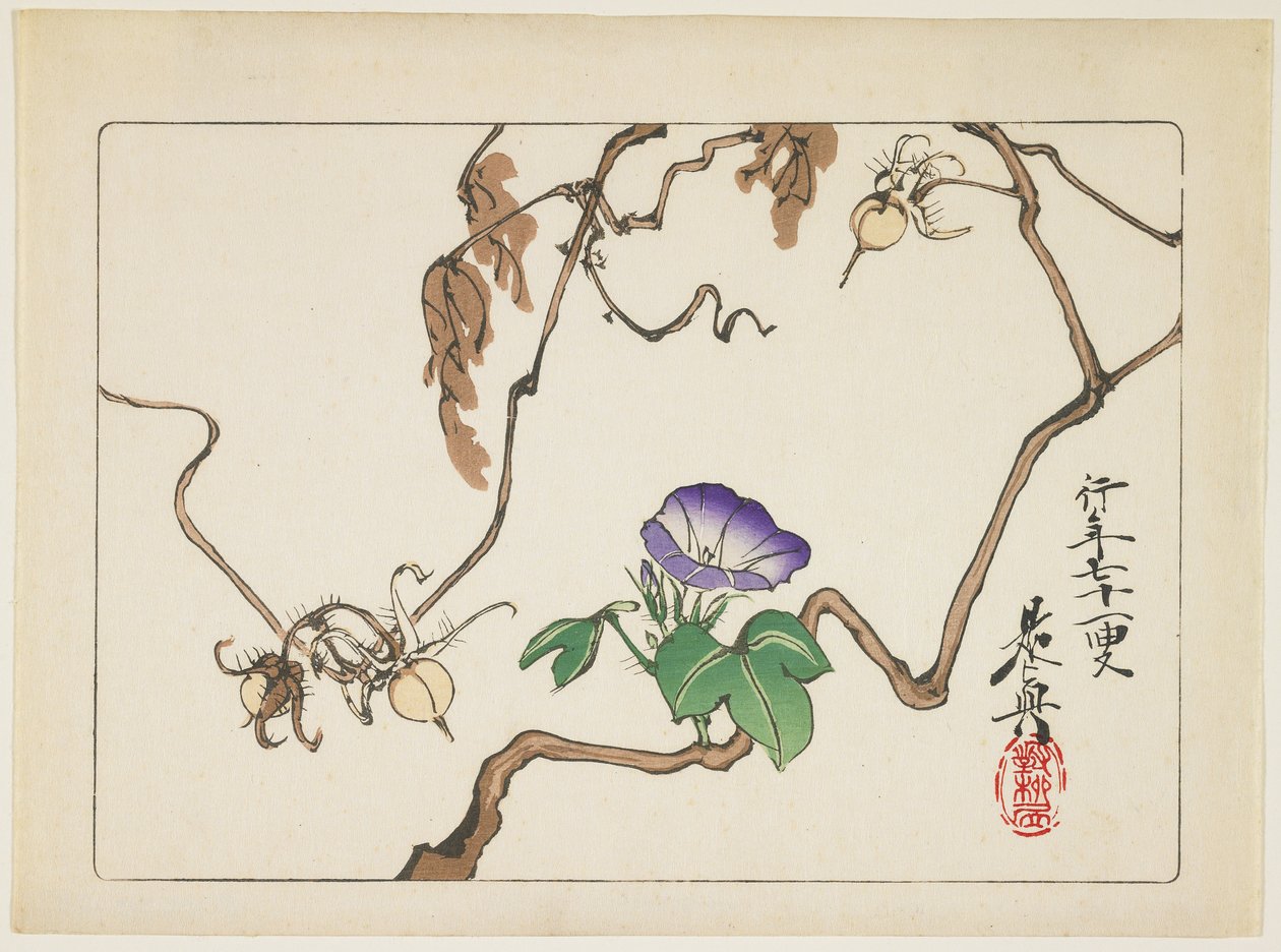 Weinrebe und Samen der Prunkwinde, 1877 von Shibata Zeshin