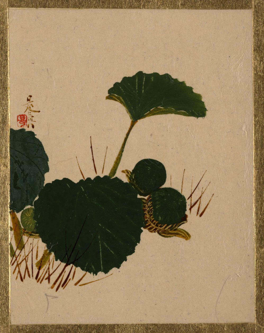 Wurm auf grünblättriger Pflanze von Shibata Zeshin