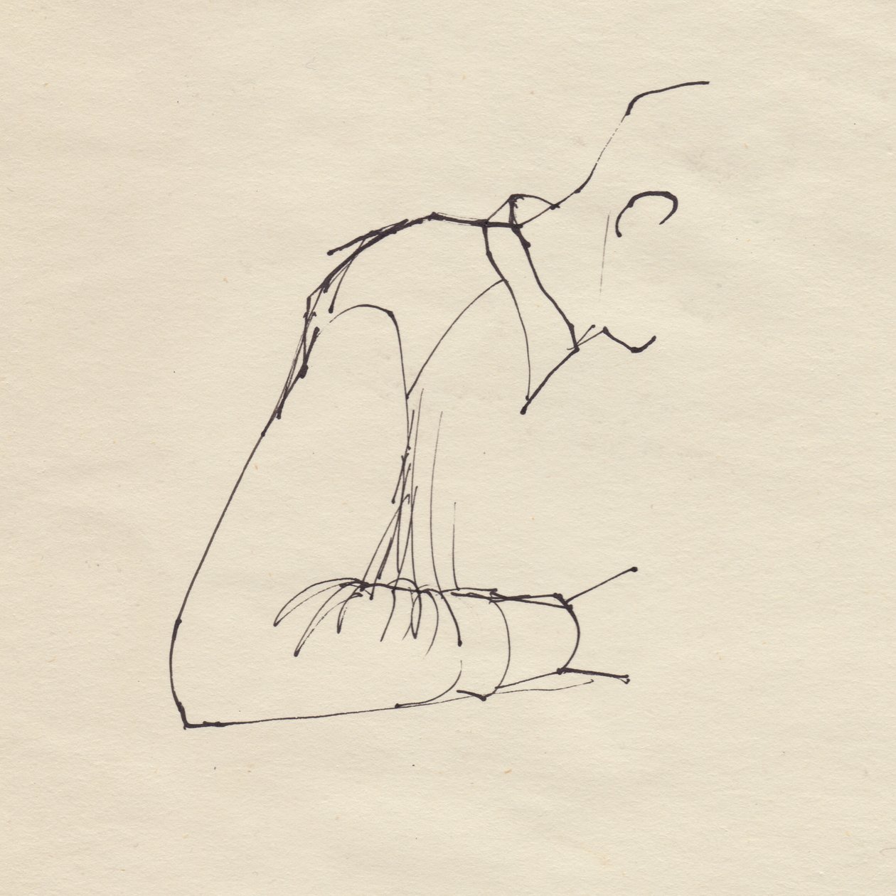 Männerarm von Shirley Markham