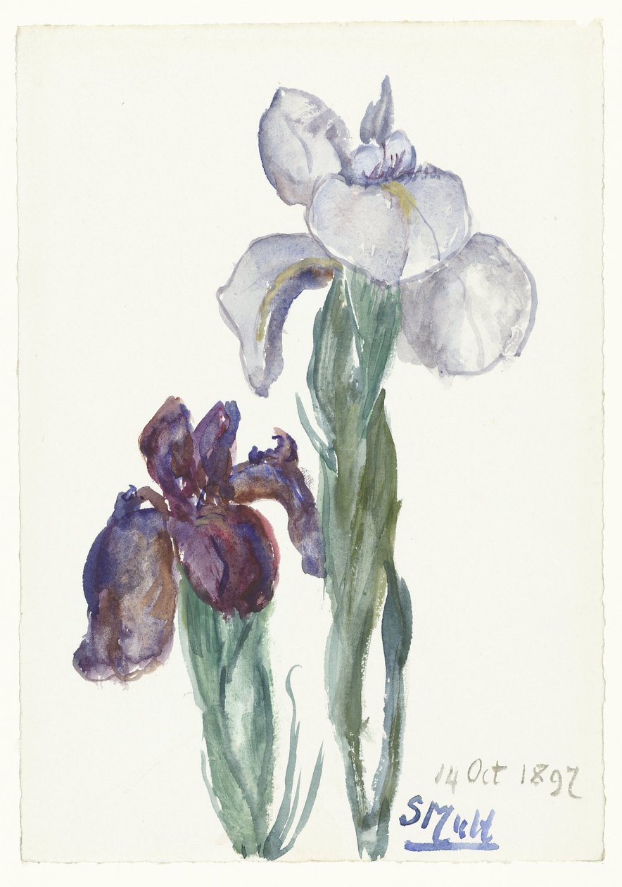 Iris von Sientje Mesdag van Houten
