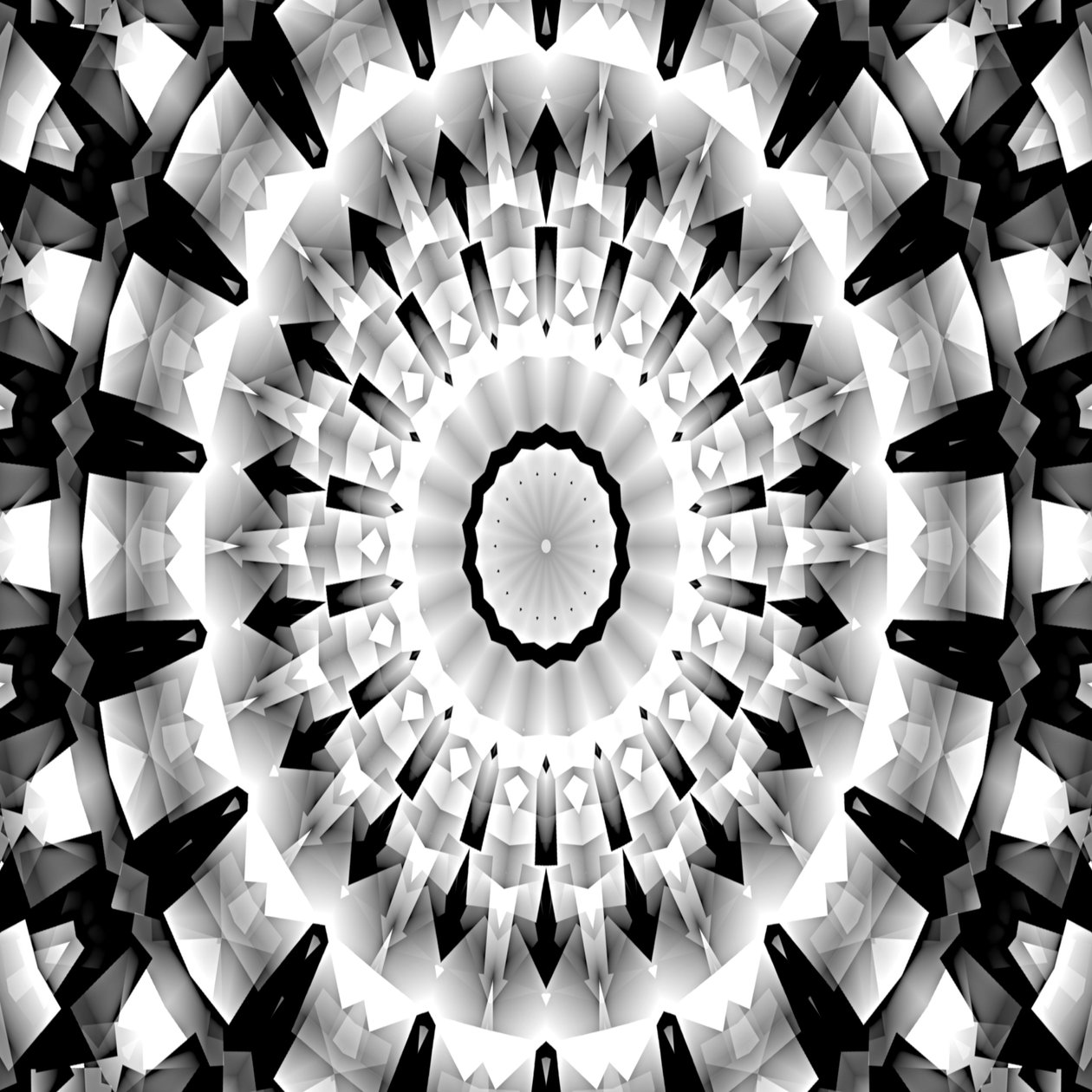 Schwarz-Weiß-Sinfonie von Silvia Martini