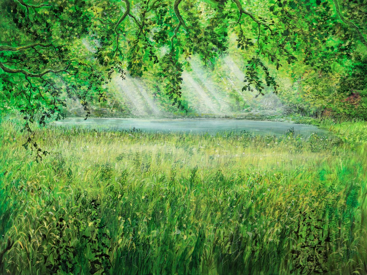 Naturschirm von Silvian Sternhagel
