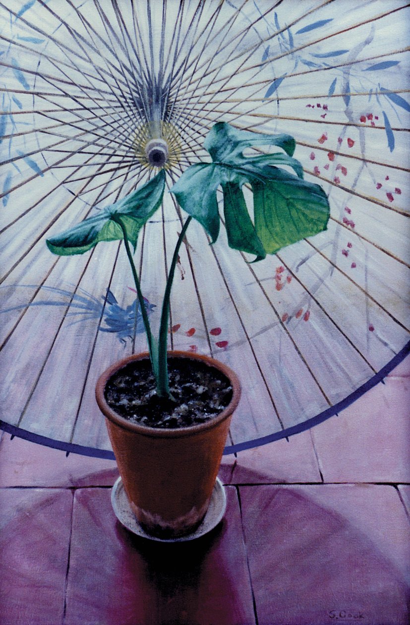 Chinesischer Regenschirm von Simon Cook