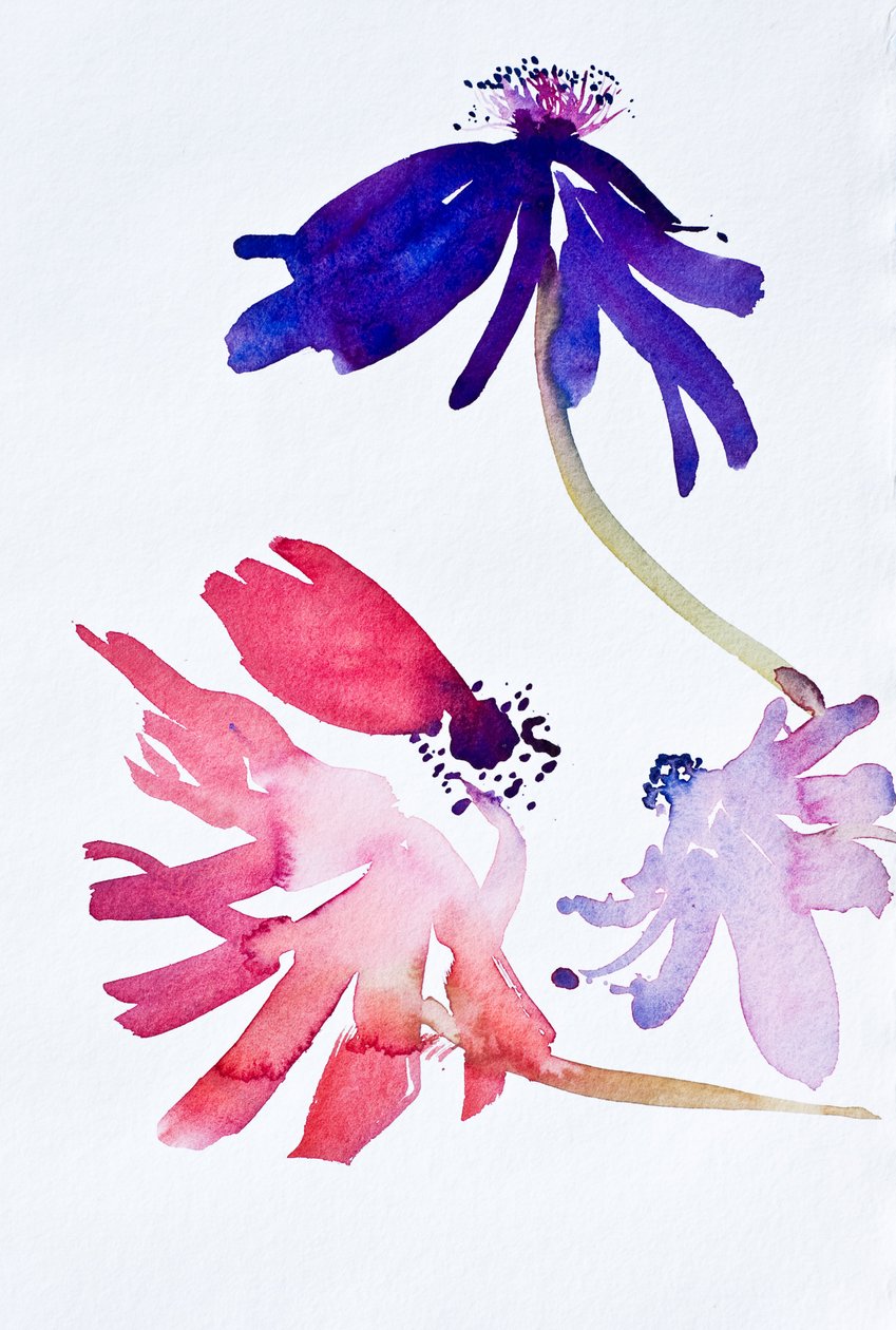 Anemonen II, 2010 von Simon Fletcher