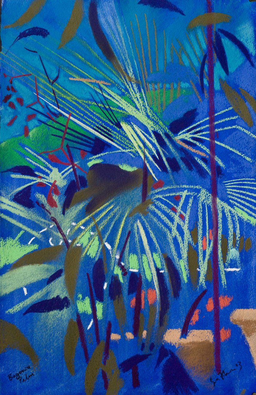 Begonienpalme von Simon Fletcher