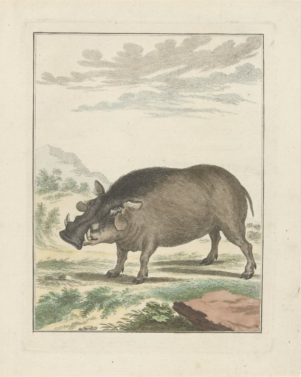 Afrikanisches Buschschwein von Simon Fokke