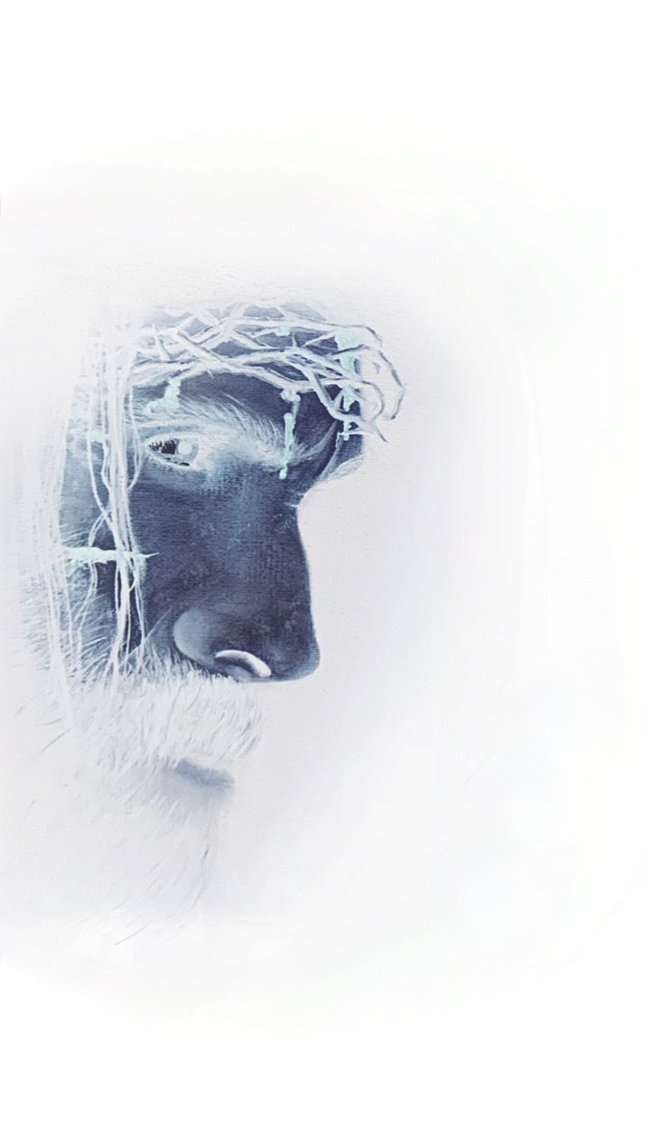 Jesus mit Dornenkrone von Simone Amon