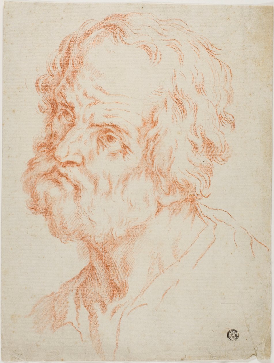 Männlicher Kopf von Simone Cantarini