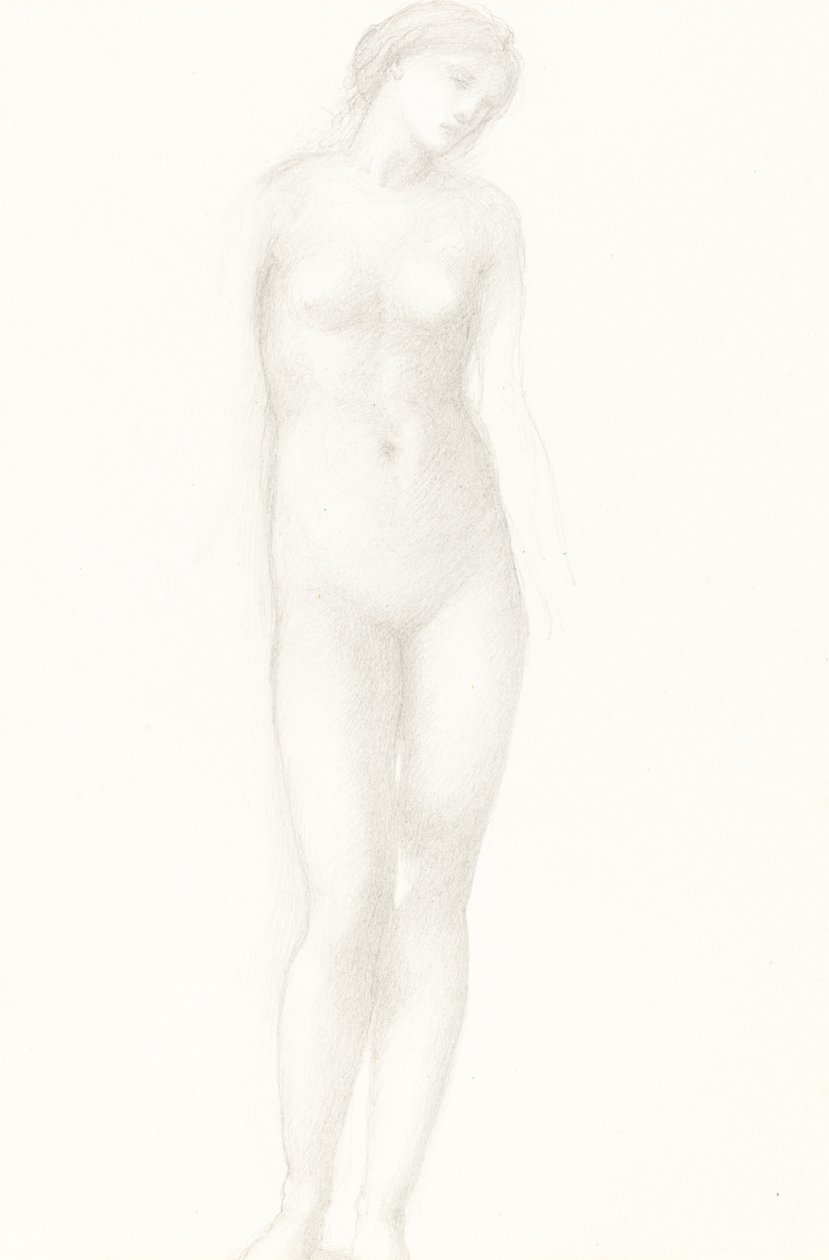 Venus von Sir Edward Coley Burne Jones