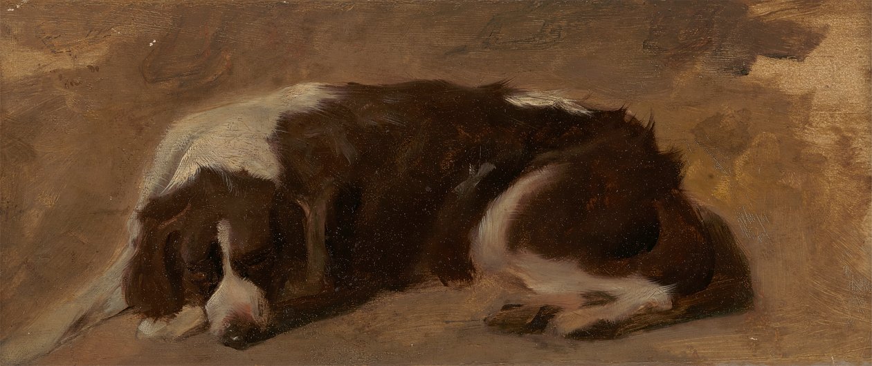 Ein liegender Spaniel von Sir Edwin Henry Landseer