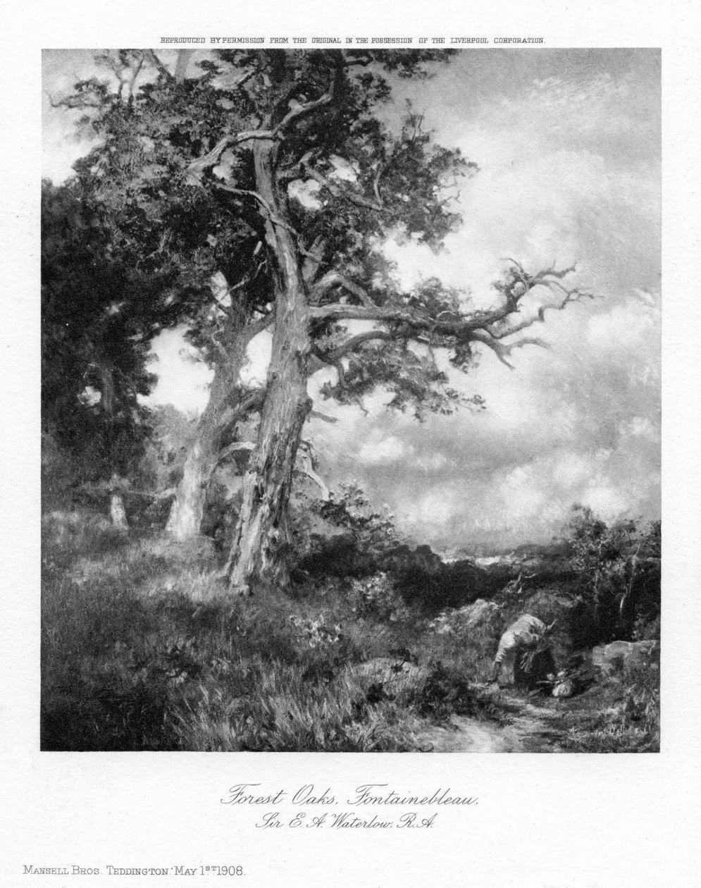 Waldeichen, Fontainebleau von Sir Ernest Albert Waterlow