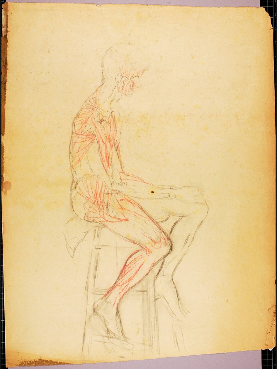 Junge von Solon H. Borglum