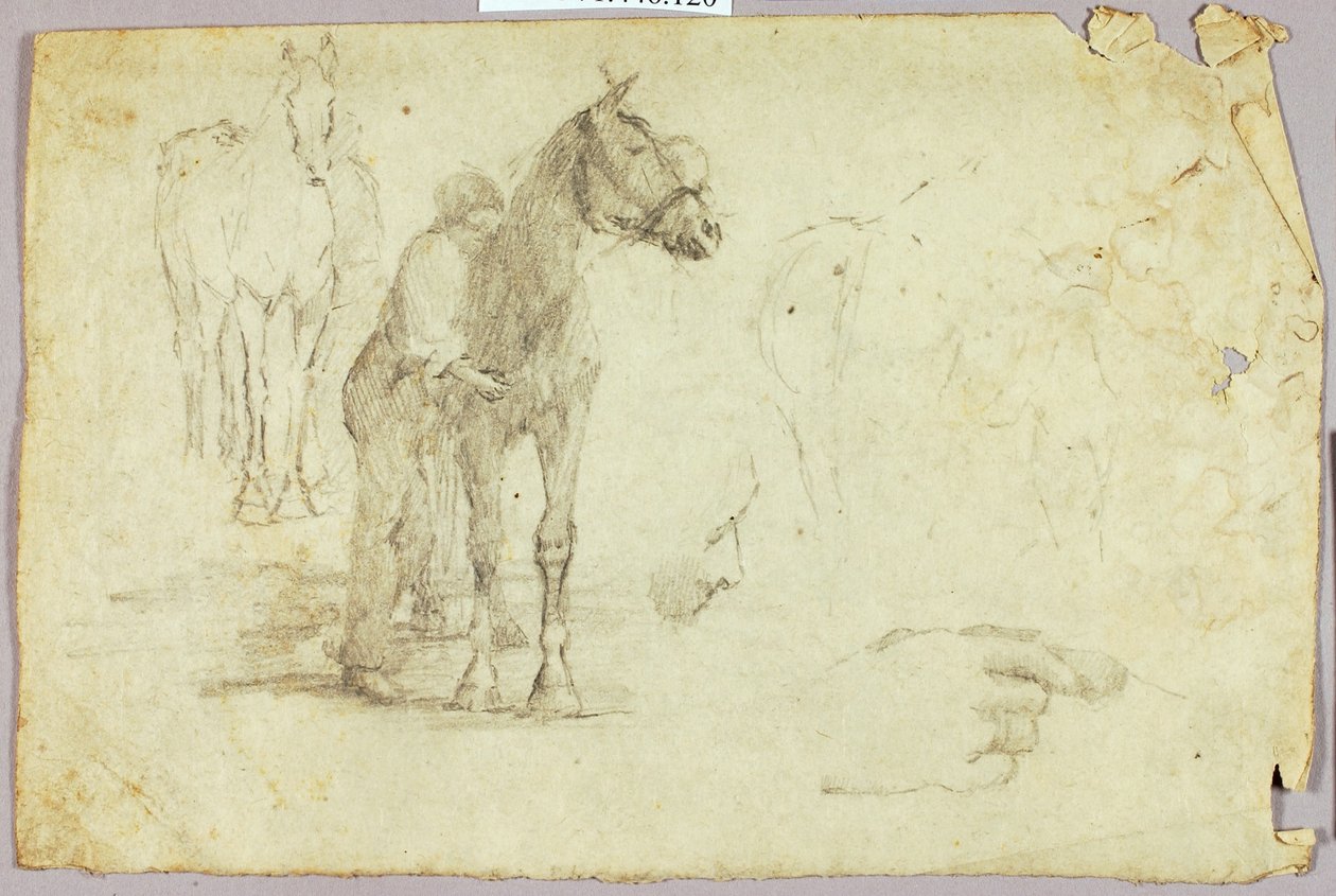 Pferd und Reiter von Solon H. Borglum