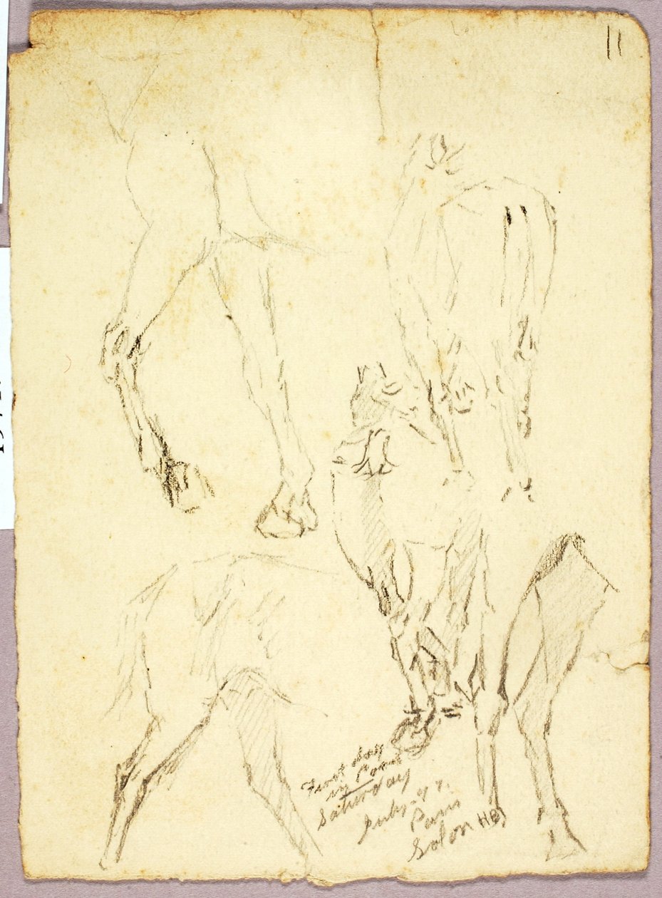 Pferde von Solon H. Borglum