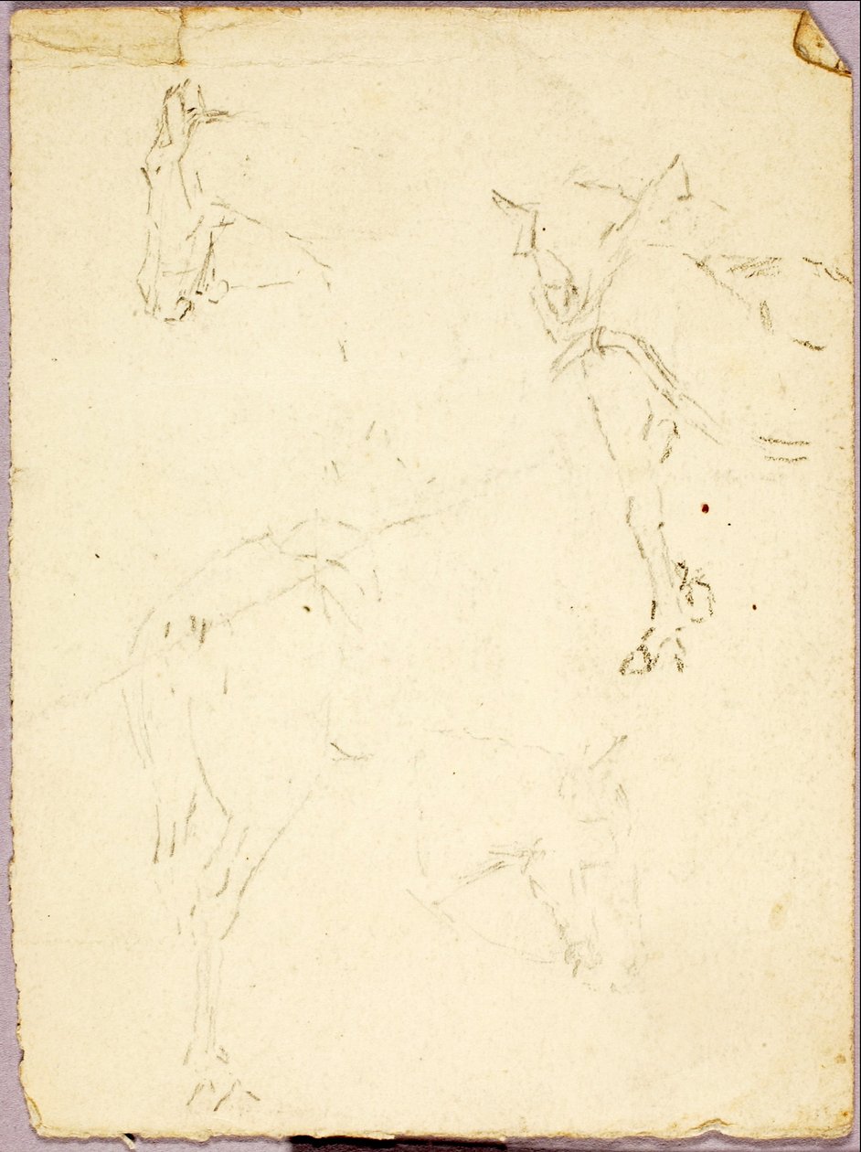 Pferde von Solon H. Borglum