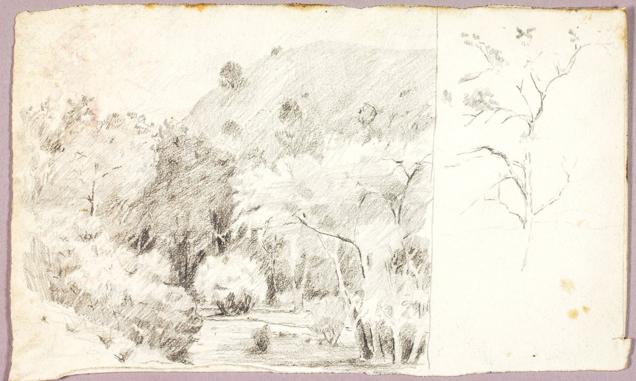 Landschaft von Solon H. Borglum