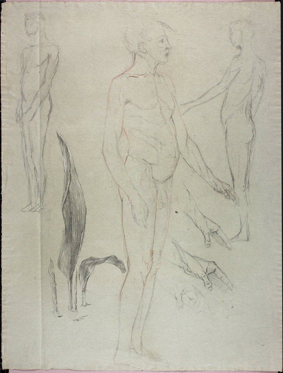 Akt und Blatt von Solon H. Borglum