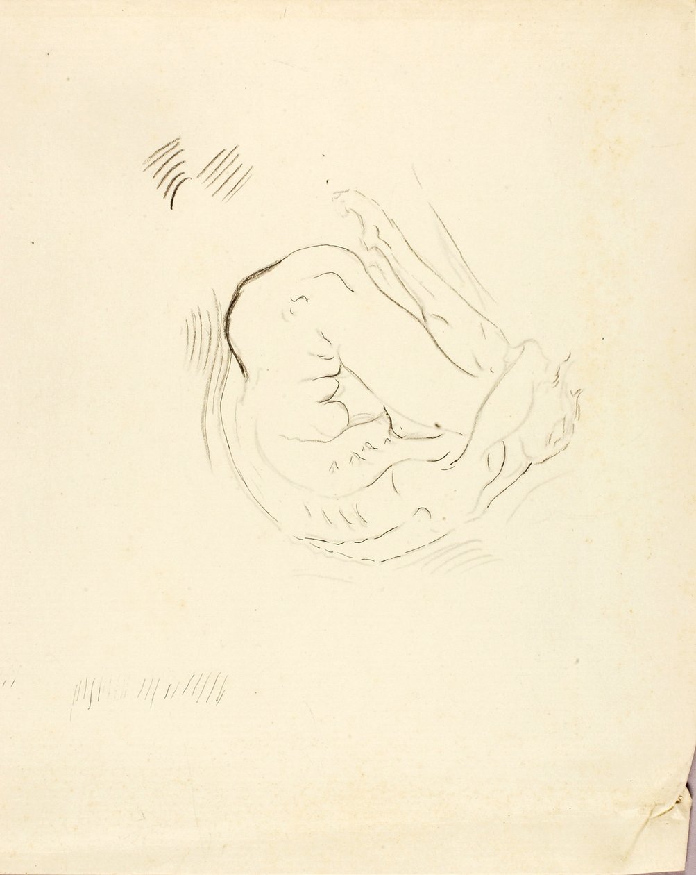 Schwimmer von Solon H. Borglum