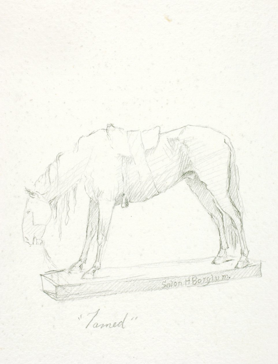 Gezähmt von Solon H. Borglum