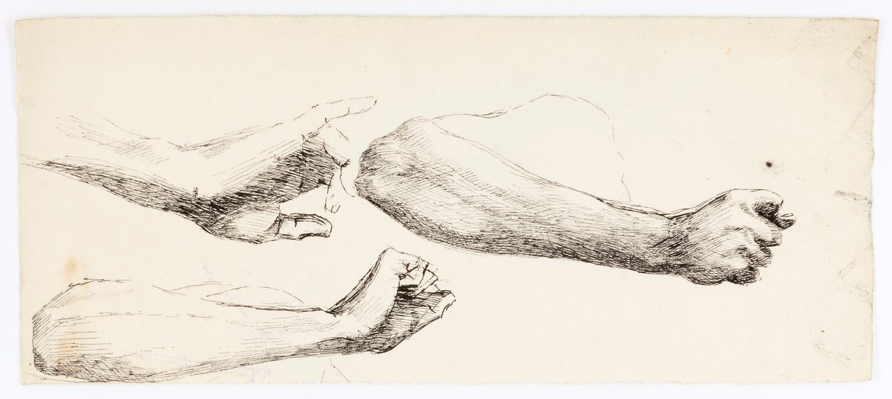 Drei Armstudien von Solon H. Borglum