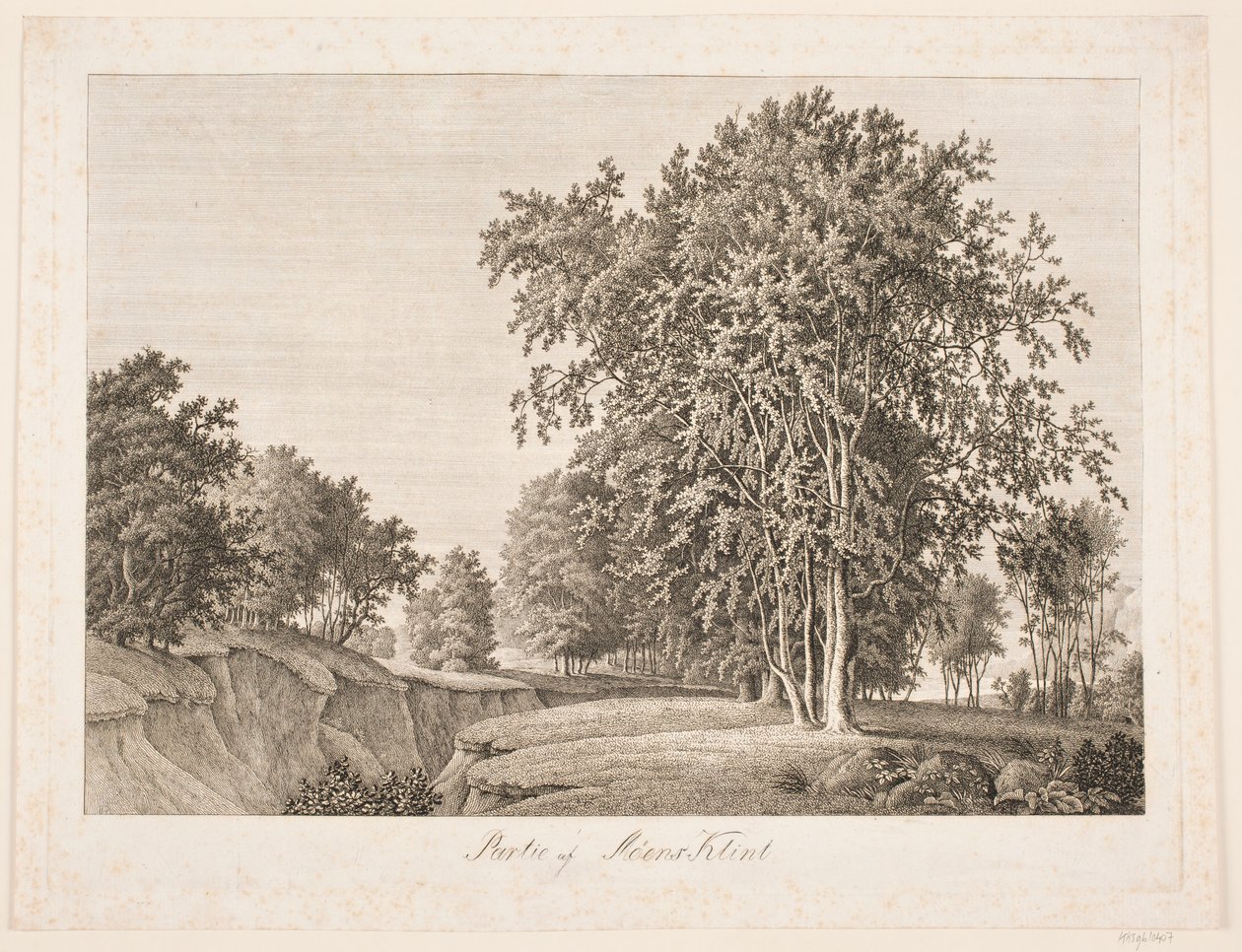 Partie von Møens Klint von Søren Henrik Petersen