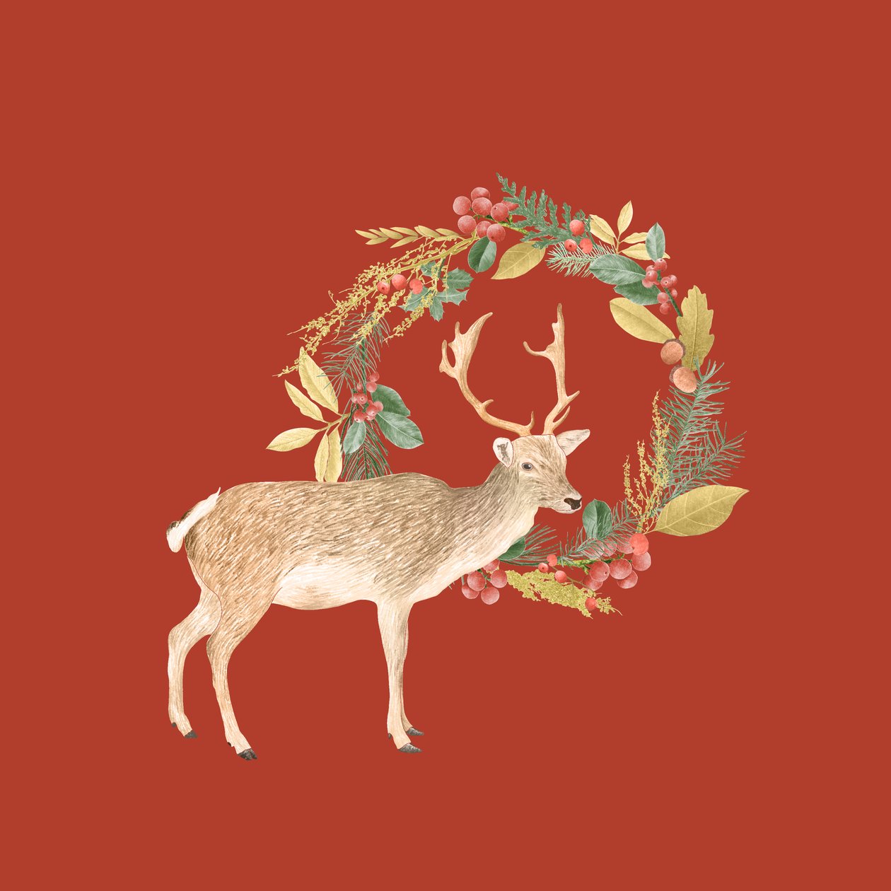 Ferienhirsch von Stacy Hsu