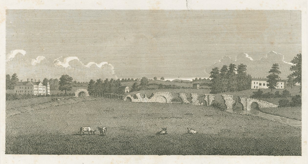 Wolseley Bridge: Gravur von Stebbing Shaw