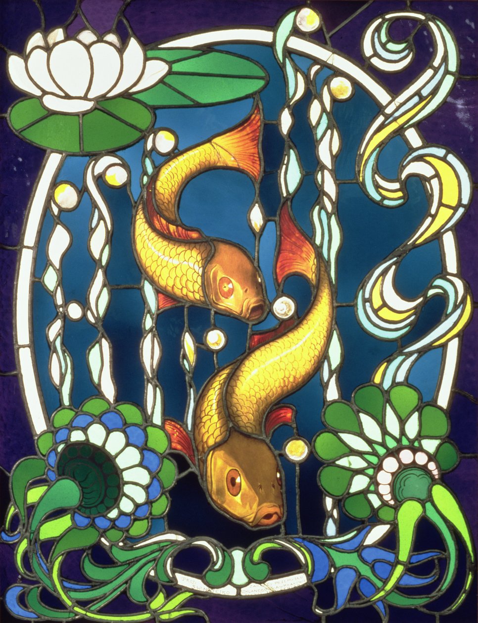 Fisch von Stefan W. Matejko