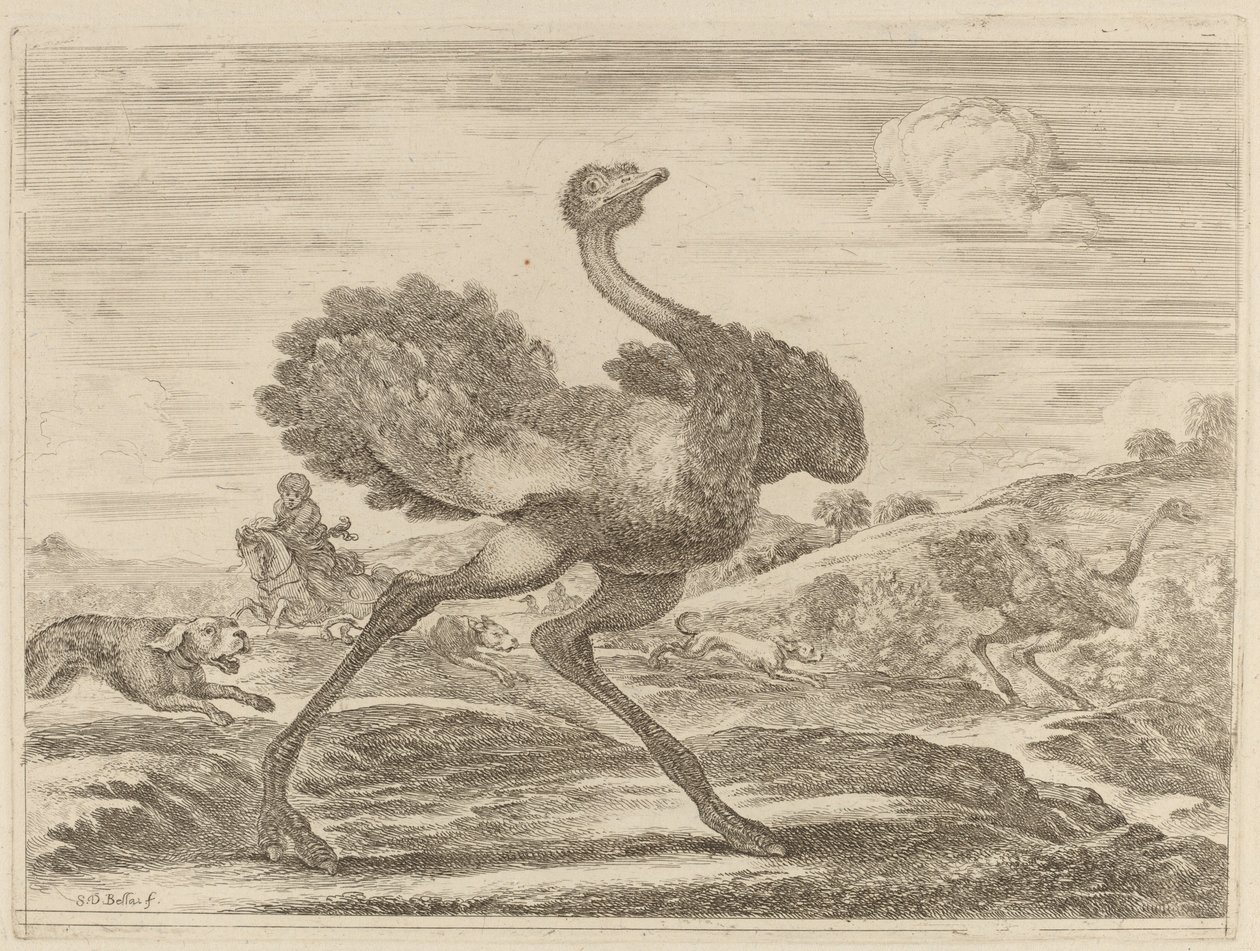 Straußenjagd von Stefano della Bella