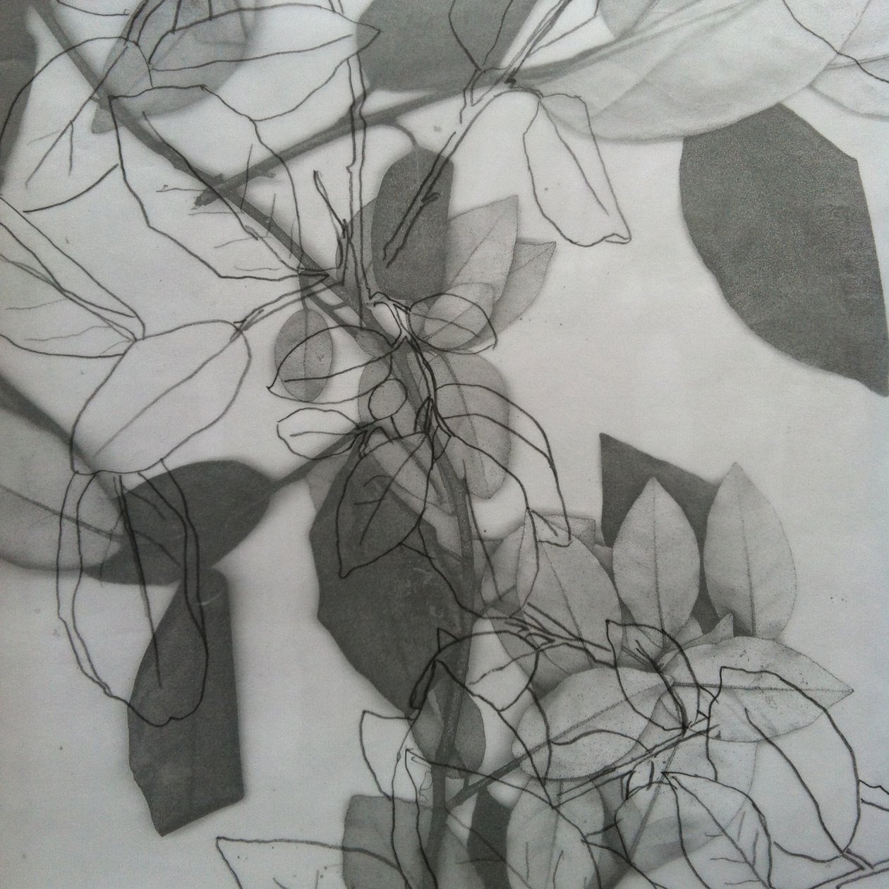 Botanisch, 2014 von Stephen Dow