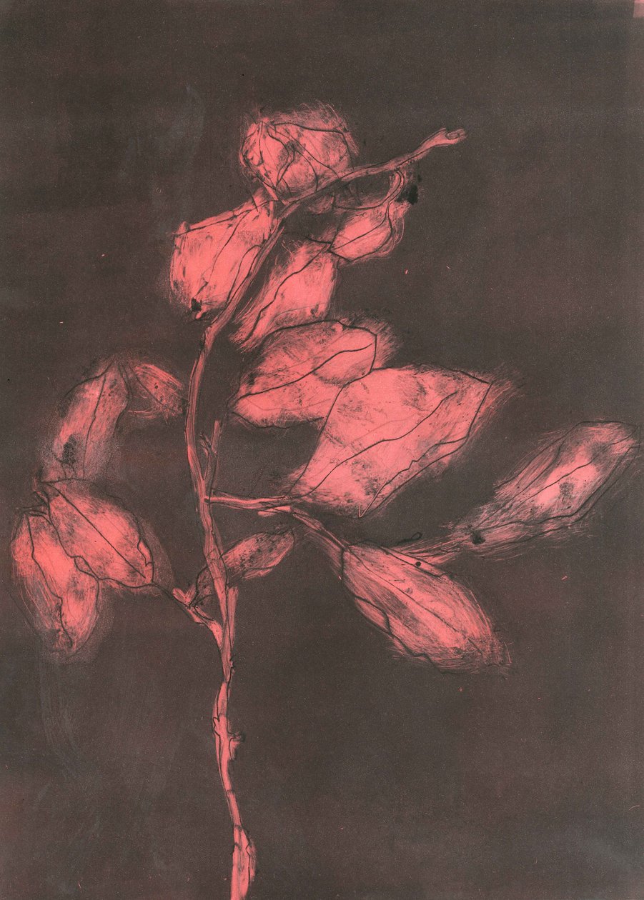 Laub I, 2015 von Stephen Dow