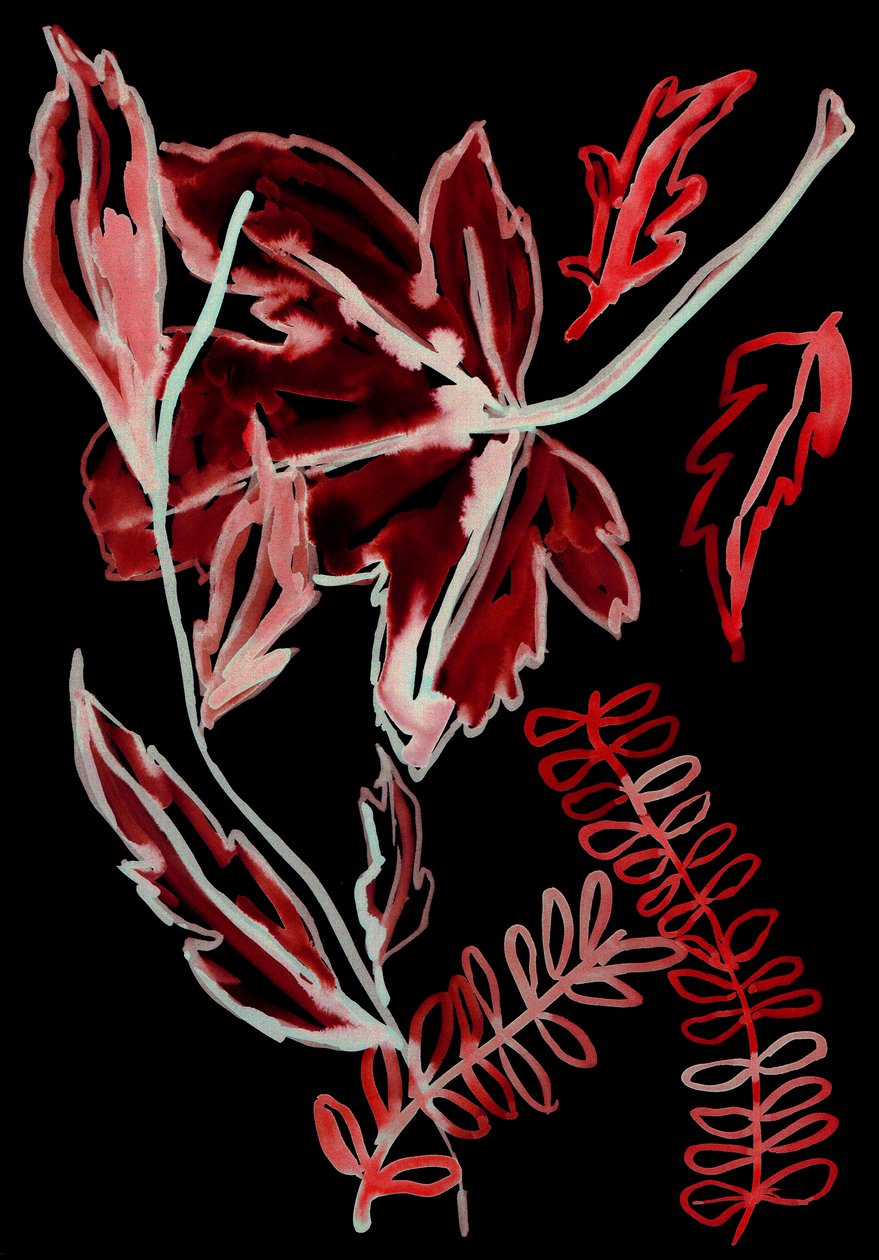Nachtflora I, 2018 von Stephen Dow