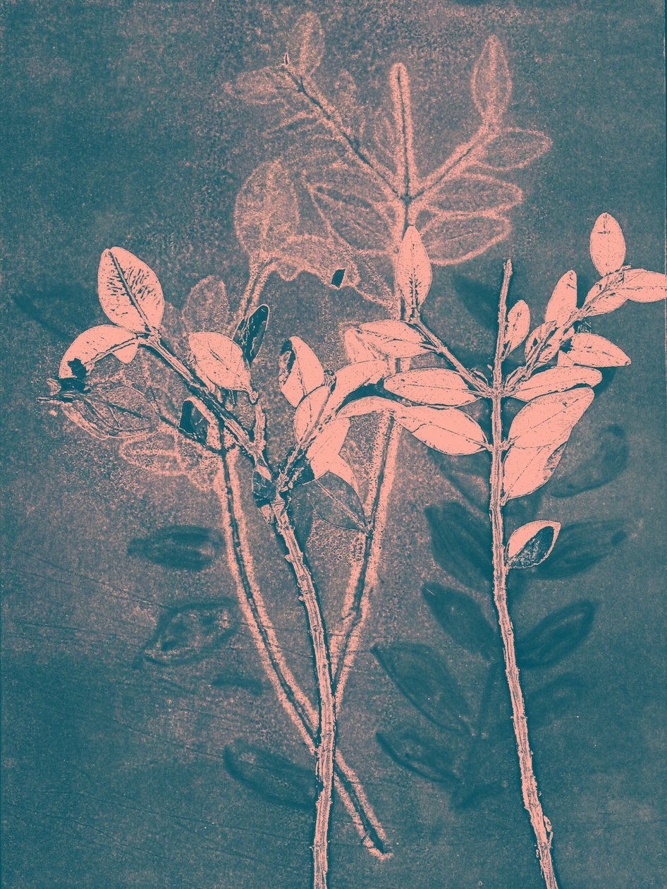 Saison VI, 2018 von Stephen Dow