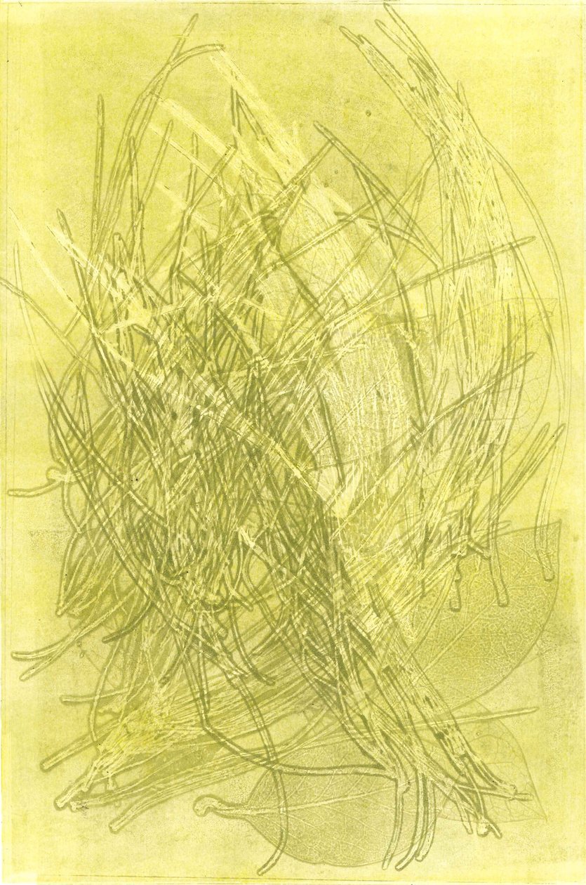 Sommergarten V, 2015 von Stephen Dow