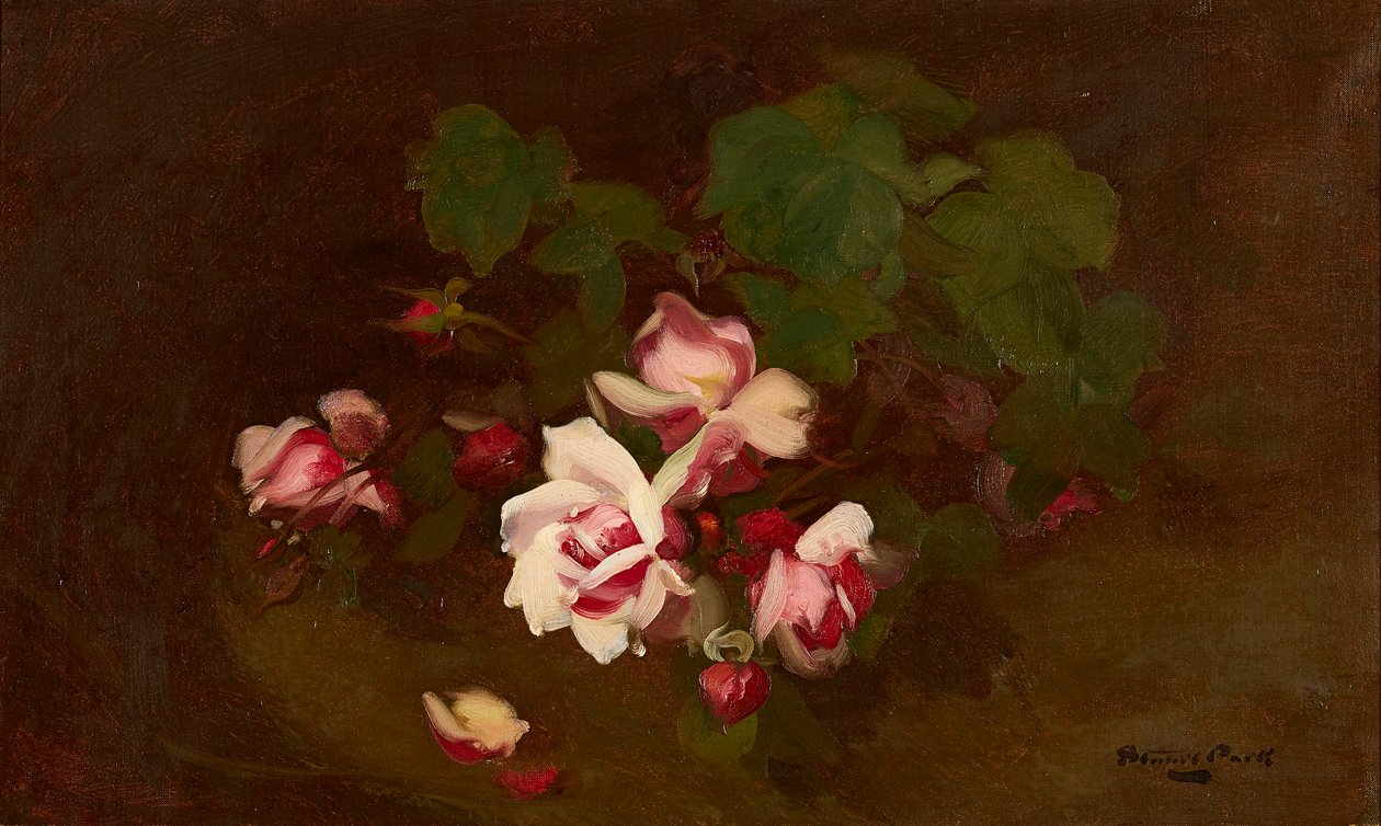 Rosen in Blüte von Stuart Park