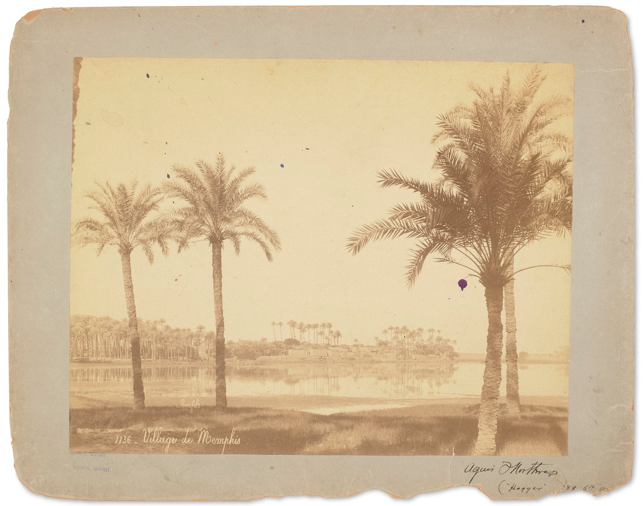 Dorf Memphis, Ägypten, ca. 1898-1920 (s/w Foto) von Studios Tiffany