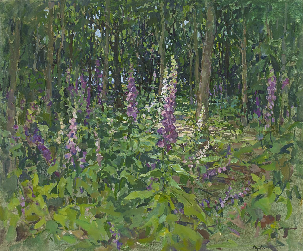 Fingerhüte von Susan Ryder