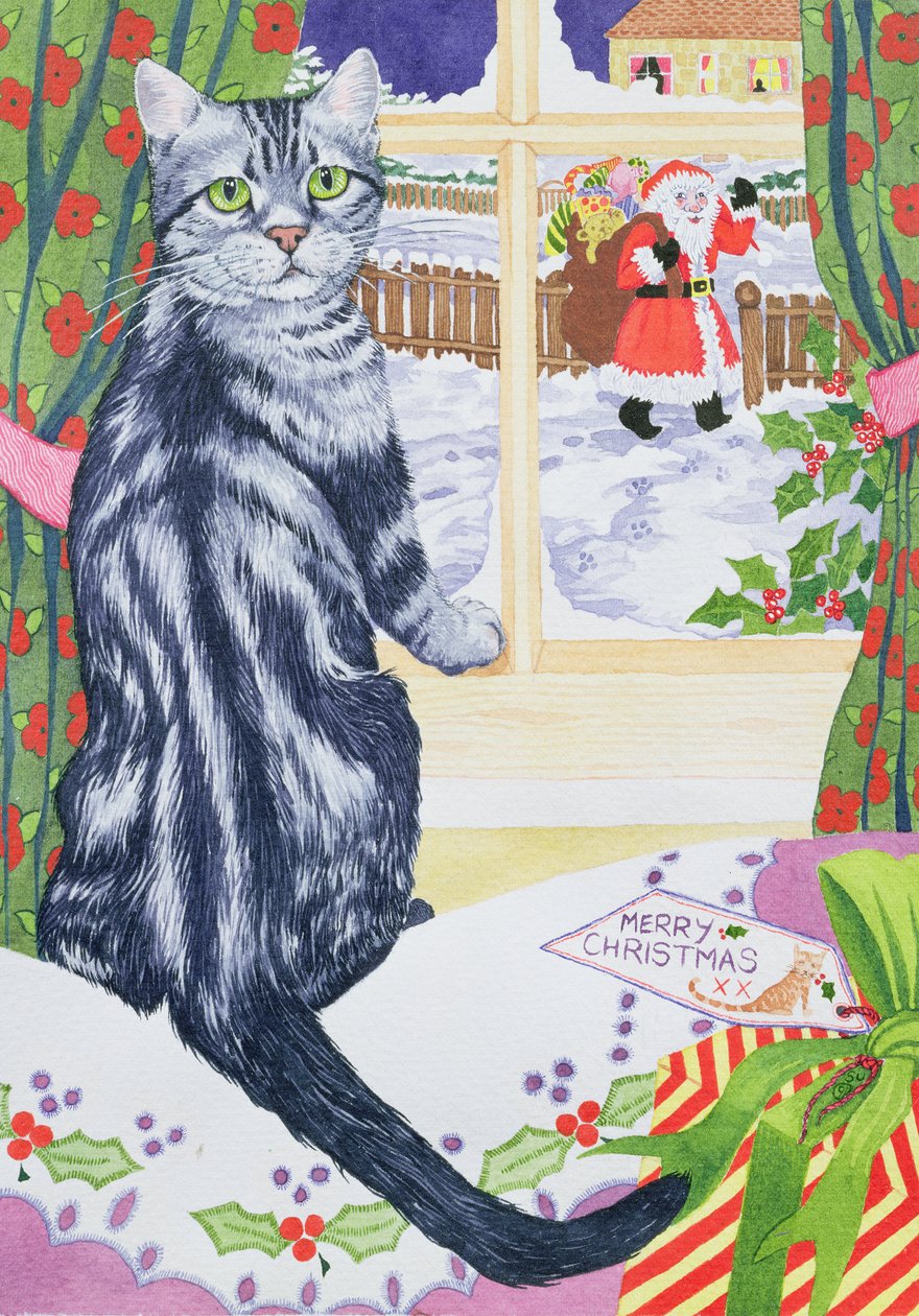 Ein Weihnachtsbesucher für Toby von Suzanne Bailey
