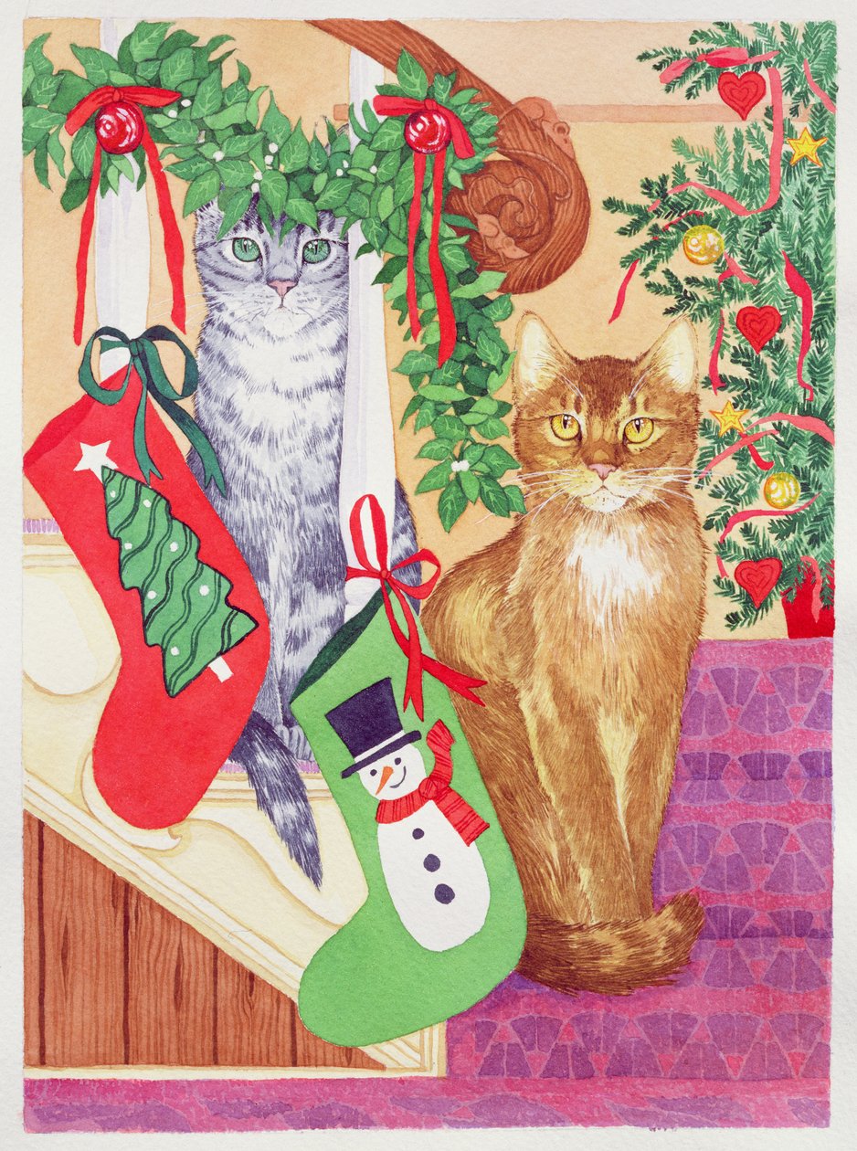 Katzen auf der Treppe von Suzanne Bailey