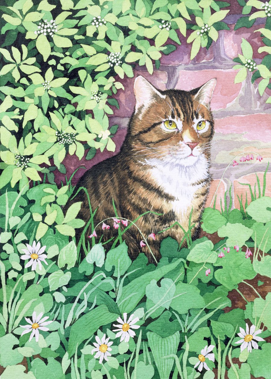 Jackies Katze (Gartendesign) von Suzanne Bailey